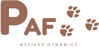 PAF, le chien robotique